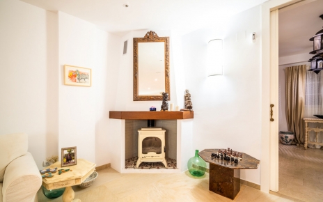 Estufa de leña en la sala de estar / comedor